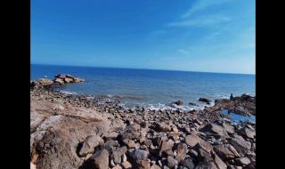 吹起的晚风是什么歌 我吹过你吹过的晚风